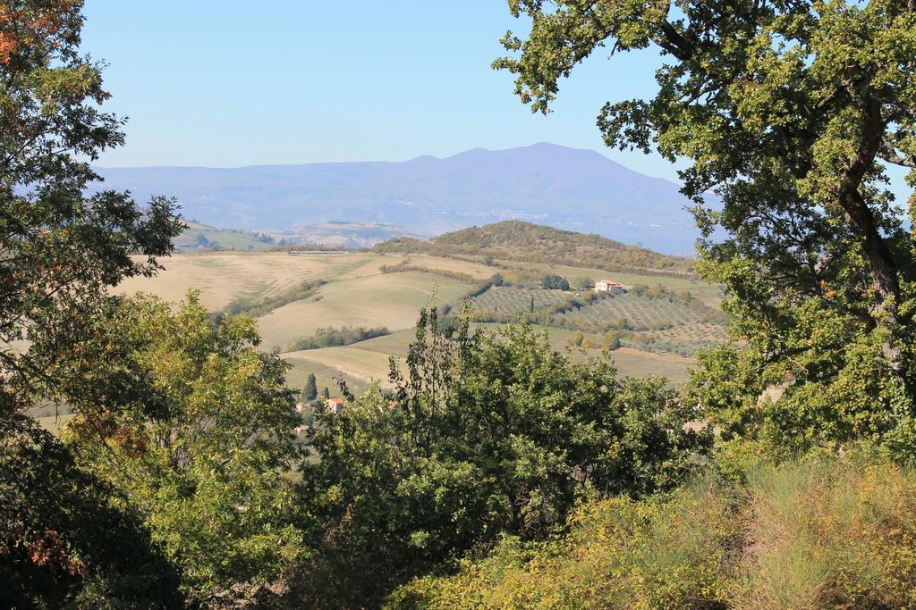 Il Podere Degli Artisti San Casciano dei Bagni Eksteriør billede